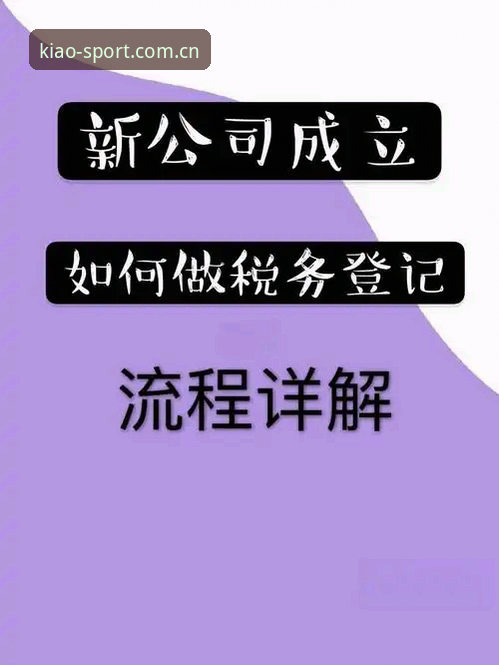 小鸟棋牌更新 小鸟棋牌平台2024最新更新操作教程:从安装到上手全流程详解